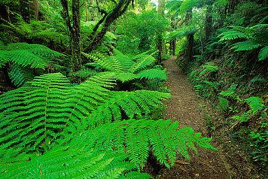 玩家游玩《霍格沃茨之遗》超4.06亿小时 击杀22.5亿次黑巫师