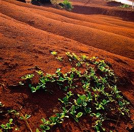 休闲派对游戏《BOTSU：滑稽机器人》现已在Steam平台推出试玩Demo