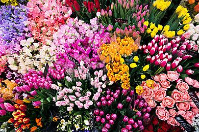 《毁灭战士》生父约翰·罗梅罗新作《SIGIL II》现已免费发布